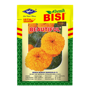 Bunga Marigold Beautiful