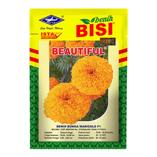 Bunga Marigold Beautiful