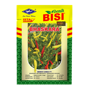Cabai Bhaskara