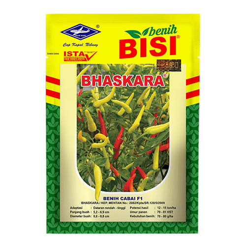 Cabai Bhaskara