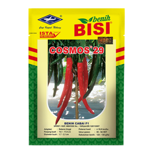 Cabai Cosmos 29