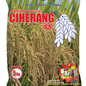 Padi Hibrida CIHERANG
