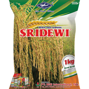 Padi Hibrida SRIDEWI