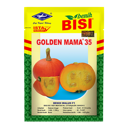 Waluh Golden Mama 35