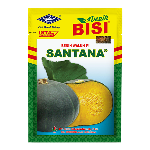 Waluh Santana